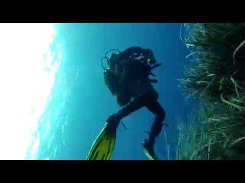 Four Dive Site Video - Scuba Diving Ustica, Italy - Aeolian Islands