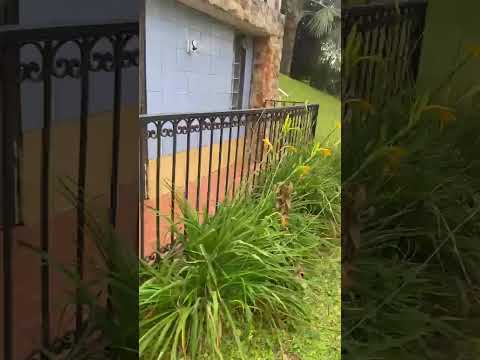 Fincas y Casas Campestres, Alquiler, Dagua - $900.000