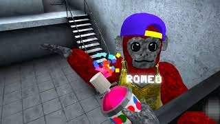 Playing scary baboon with romeo MQDEFAULT Thumbnail