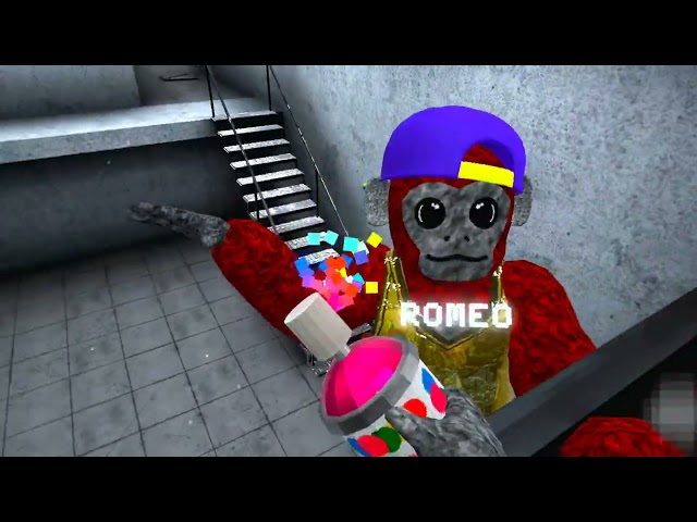 Playing scary baboon with romeo SDDEFAULT Thumbnail