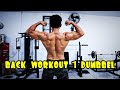 best back workout with 1 dumbbell