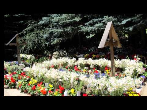 Sfantul Ardealului Arsenie Boca