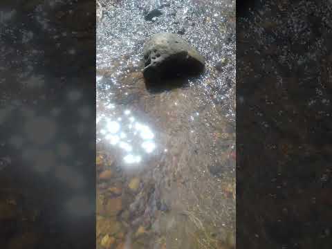 ... zacualpa Quiche Guatemala saludos cordiales.....