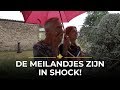 ENORM GEDOE door omgevallen boom! | Chateau Meiland