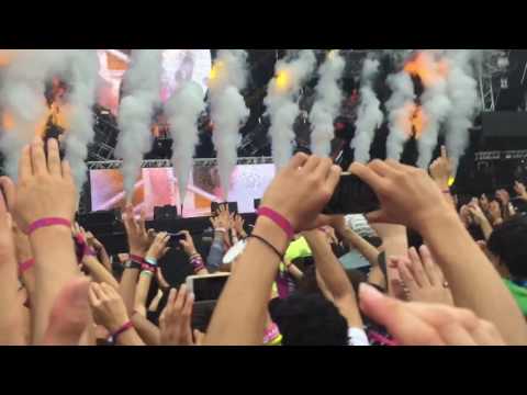 Ultra japan 2016 Fedde le grand