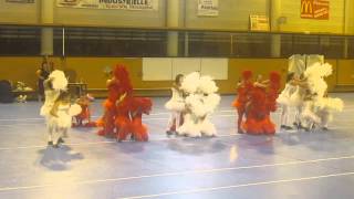 preview picture of video 'Dancing Girls de Sanvignes - Grande Equipe Pompons Juniors 2014'