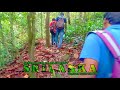 SINHARAJA Rain Forest SRILANKA Traveller Thusy