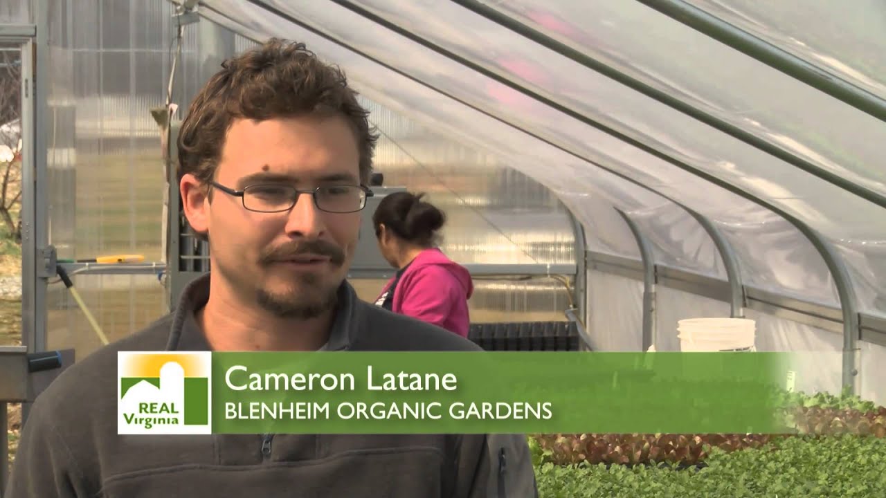 Organic, Natural and Conventional Farming