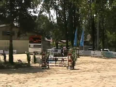 Renata 5 jährige holsteiner Stute v. Nekton Quali BC