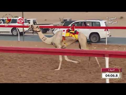  ش 4 (معزز) لـ علي راشد الشاوي الغفلي 6:15 , شارة الديوان 2 2026/09/26 لقايا اللبسه 