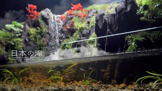 A Place You'll Want to Visit Again: The Aquarium-Inspired Journey