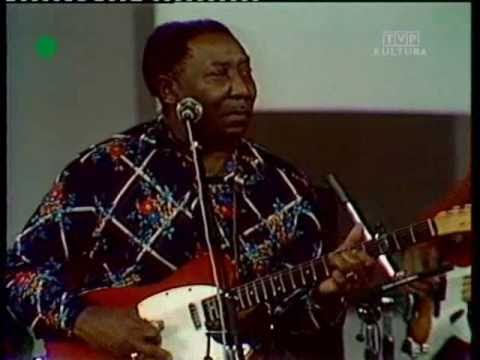 Muddy Waters in 1976: Kansas City (superb cover)