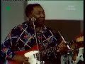 Muddy Waters in 1976: Kansas City (superb cover) - mercydee Muddy Waters in 1976: Kansas City (superb cover)