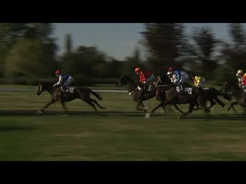 8. dostih - Cena Holoubek koncern - dostihy Karlovy Vary 20. 9. 2020