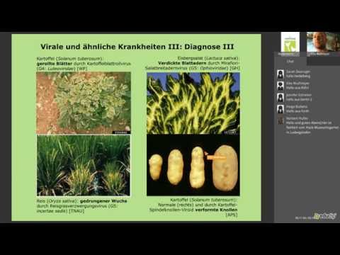 , title : 'Webinar Biologische Schädlingskontrolle'