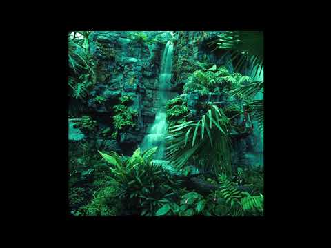 Myles Bone - Tropic Thunder