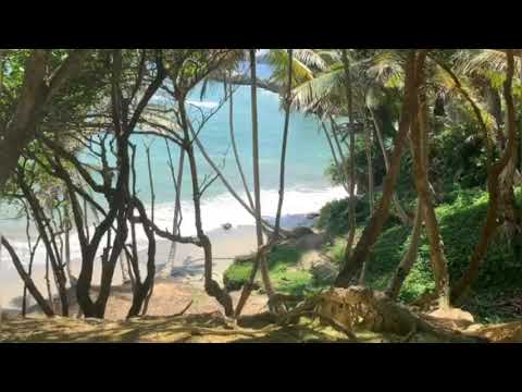 Reflexión de fe (Ezequiel 33:31-32).