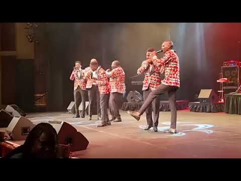 Vibes grupo vocal- The Medley of Hope