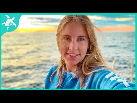 LET'S SAIL to MAINE!!