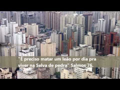 Fumasound Não troque o amor video