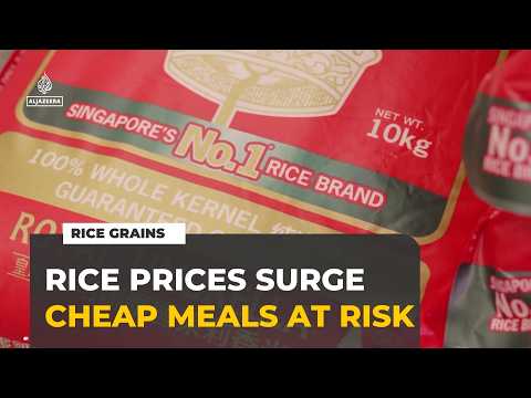 Rising rice prices threaten Singapore’s affordable hawker food