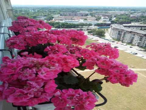 Apartment Cloud 20 - Zagreb - Croatia
