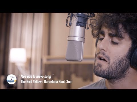 THE BIRD YELLOW & BARCELONA SOUL CHOIR - Més que la meva sang (Video La Marató de TV3 2018)