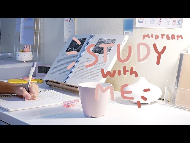 Study with me #2 midterm 1/1 (timelapse)| yellowpeach