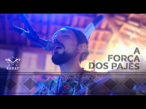 A FORÇA DOS PAJÉS • Kauay #rezo #musicaderezo #cura #ayahuasca #ayahuascaretreat #ayahuascaceremony