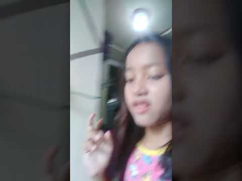 tentang makanan dan kucing yang lucu femelli