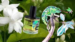 Jazmin Yucatan by D.S. & Durga, 1.7 oz Eau De Parfum Spray Unisex main image 1