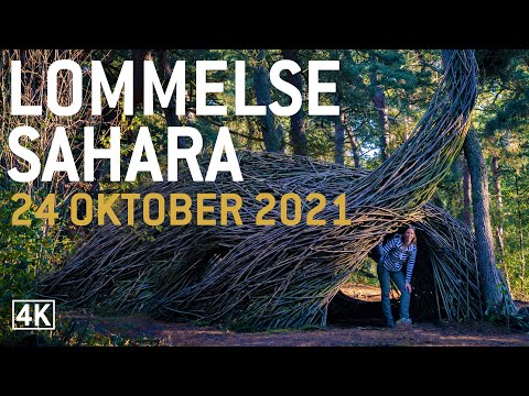 LOMMELSE SAHARA | 2021