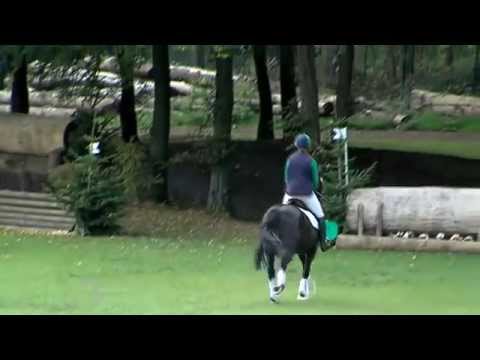 Bundeschampion 2014 - Sechsjährige Vielseitigkeitspferde: Carlson von Chambertin - Akitos xx