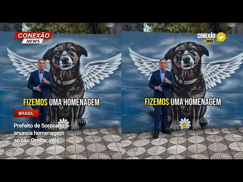 Vídeo: Prefeito de Sorocaba anuncia homenagem ao cão Orelha; veja.