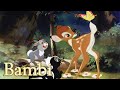 Bambi Trailer HD