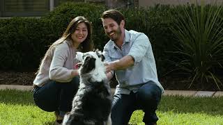 PetSafe How to Plan Your Fence Layout for the Classic