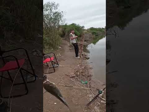 El pique 🎣 arranco tarde, Canal de los Puestos #pesca #fishing #argentina #tucuman #fish