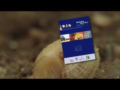 GCTV17: Snail Bait - what to use