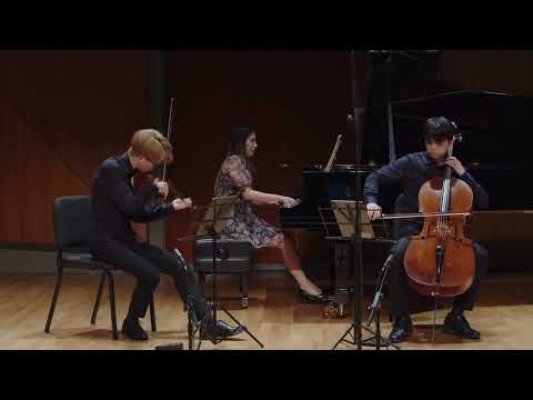 Haydn Piano Trio Hob.XV:29 in E-flat Major, 3rd mvt. | Trio Tokava