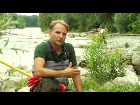 LFV, Der Fall Kormoran (VTS_02_2)