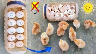How to hatch eggs at home without incubator (100%) || Hatch eggs at home without electricity