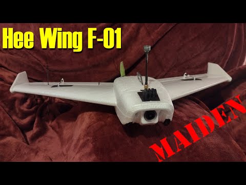 Hee Wing F-01 maiden
