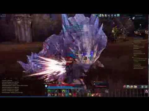 Tera - Level 27 Lancer PvE