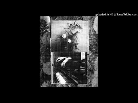 Aural Trace - Soul And Freedom [Logical Records]