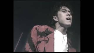 Download lagu WANDS 「ふりむいて抱きしめて」MV mp3