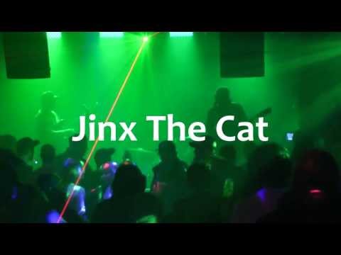 Jinx The Cat at Legacy Feb. 10-12