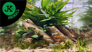 Atman JK-A221 akvarijní set černý 9 l