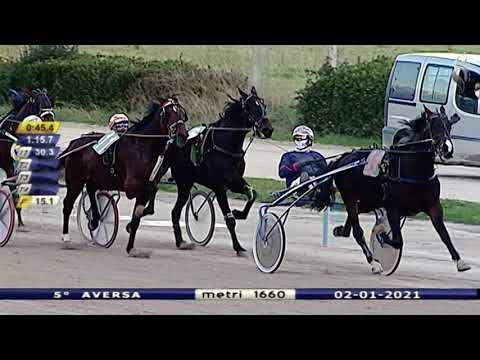 Aversa trotto 2 Gennaio 2021- 5° Corsa