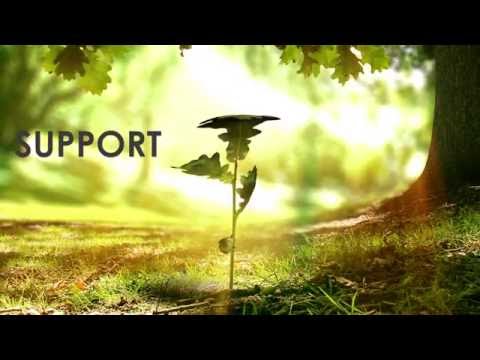 Community Spirit   Cornwall Glass