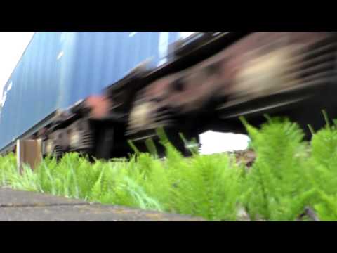 QUANDO UN TRENO MERCI  PASSA  A FORTE VELOCITA' A RIGOROSO.(AL) 15 - 4 - 2017